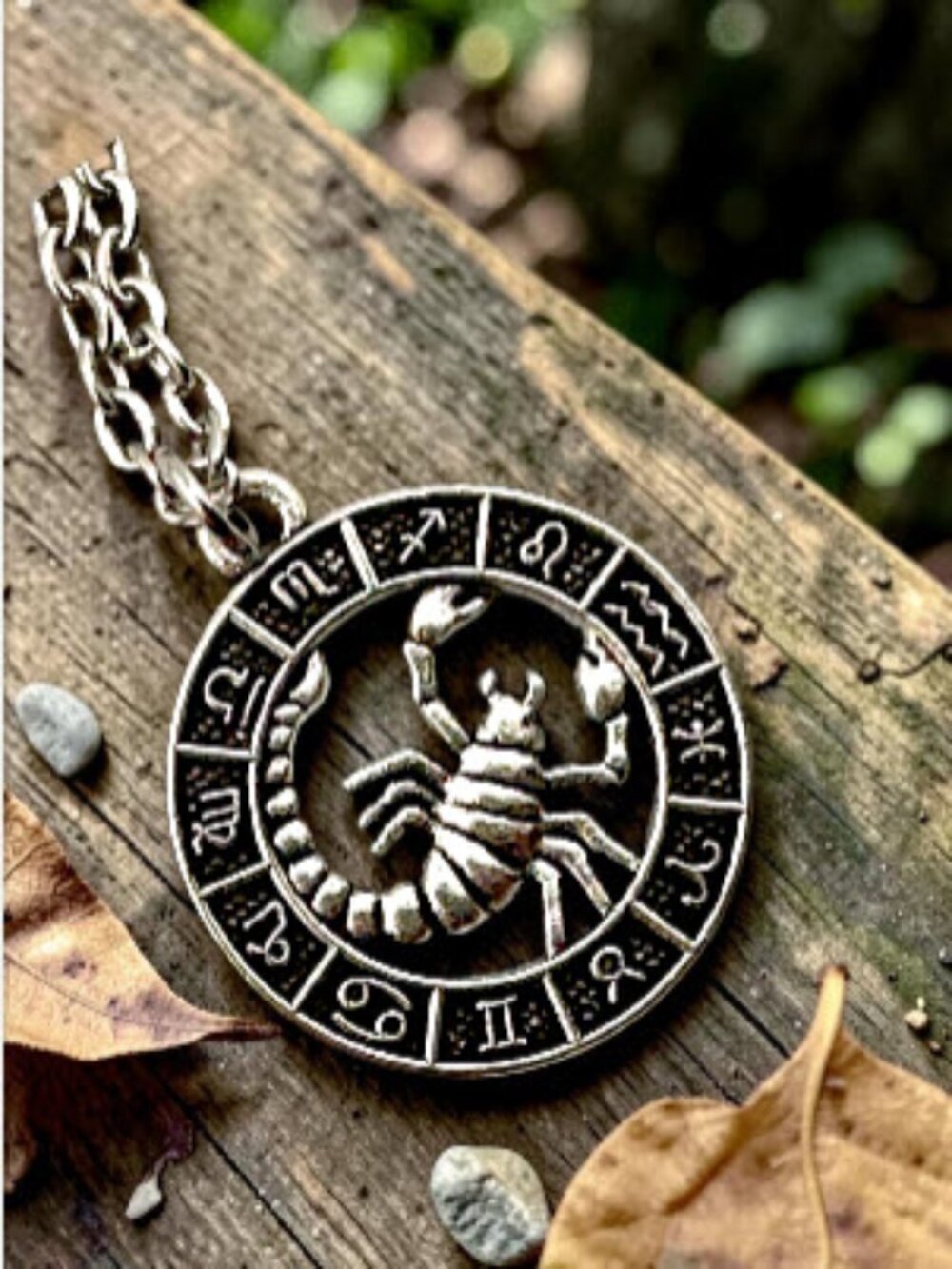 Scorpio Zodiac Necklace Astrology Pendant Diamond Cut Stainless Steel Chain